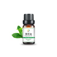 Wholesale Essential Oil Pure Peppermint Oil Organic Manufacturer Oil